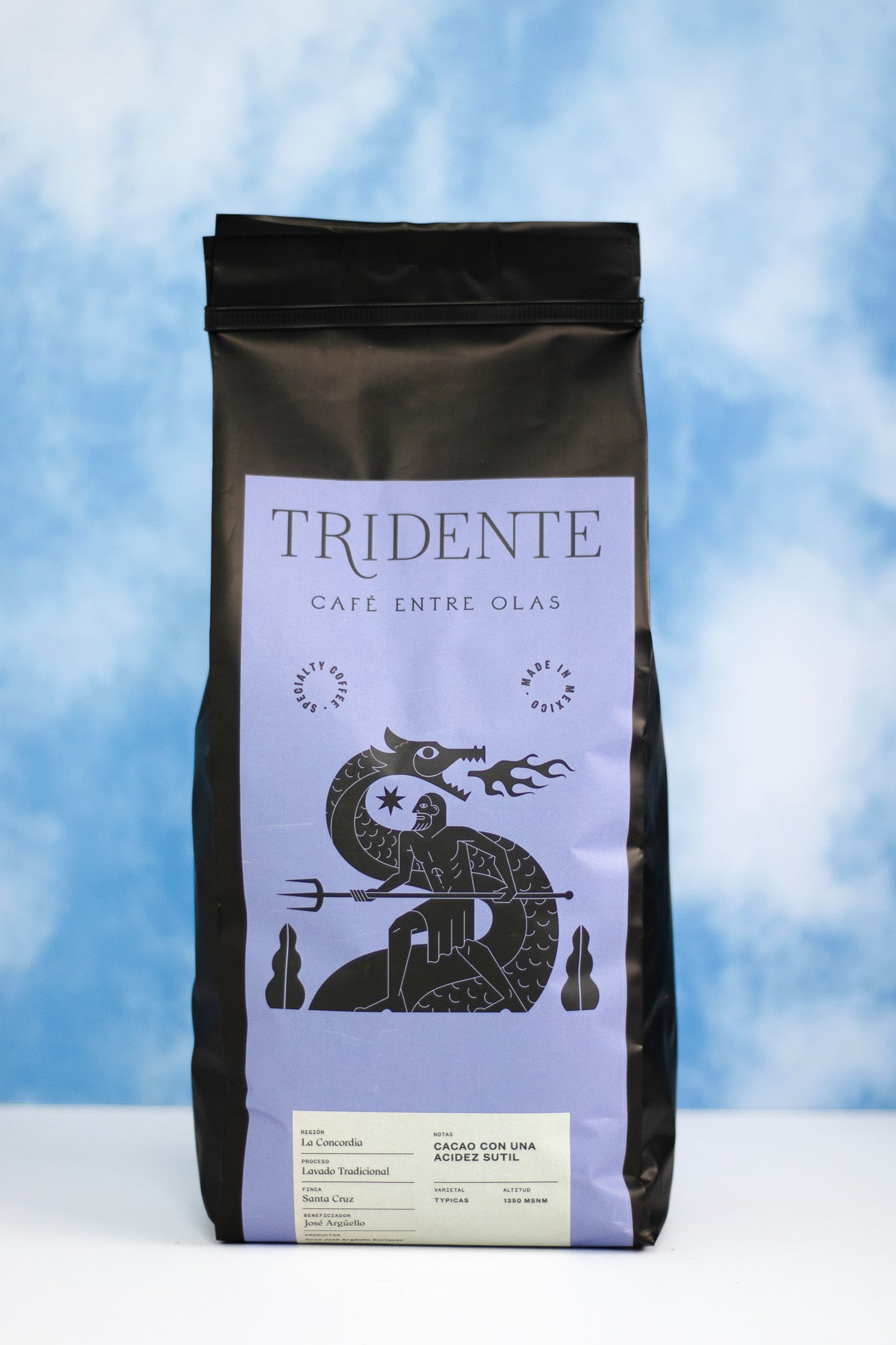 CHIAPAS, LA CONCORDIA