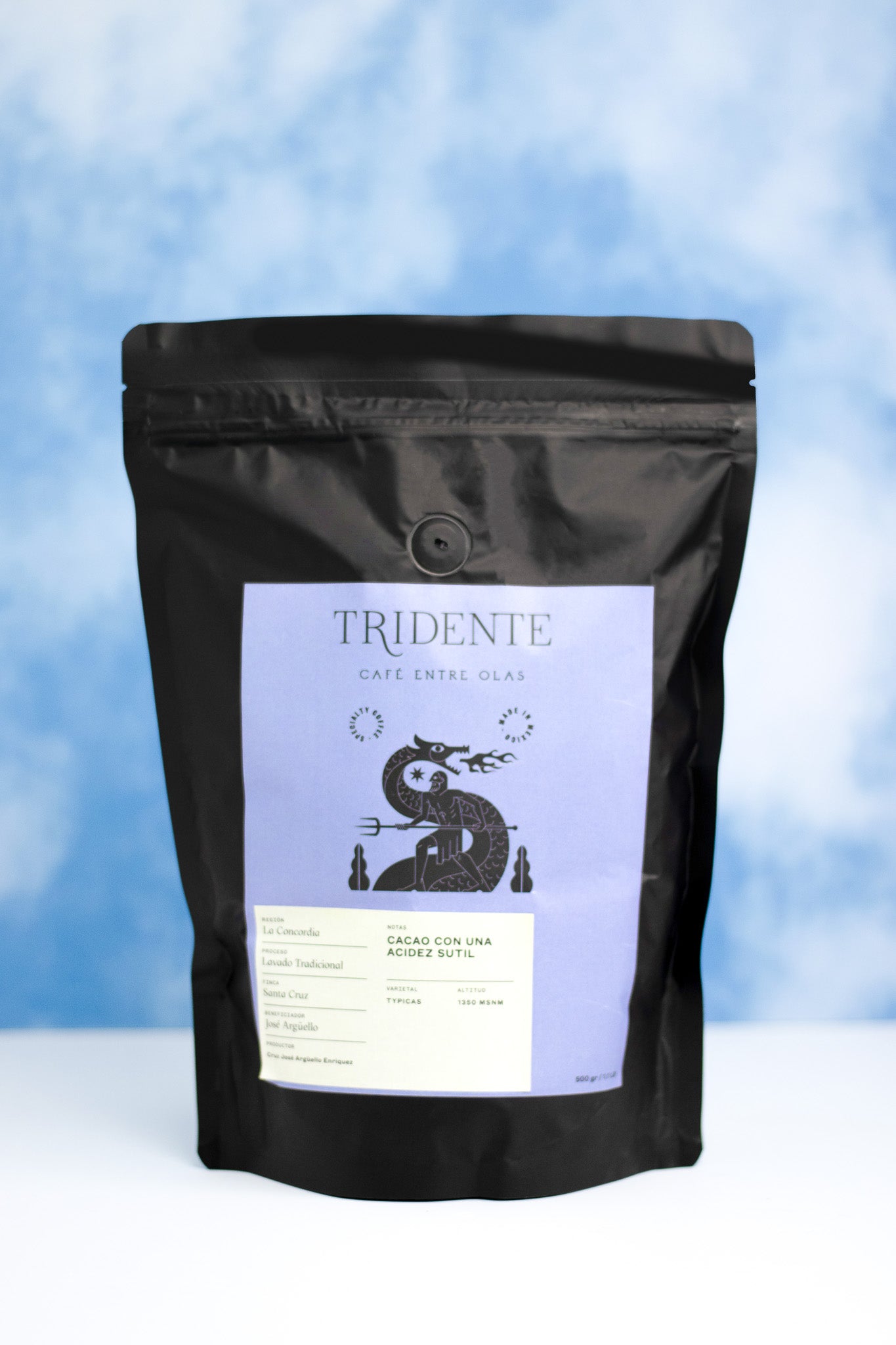 CHIAPAS, LA CONCORDIA